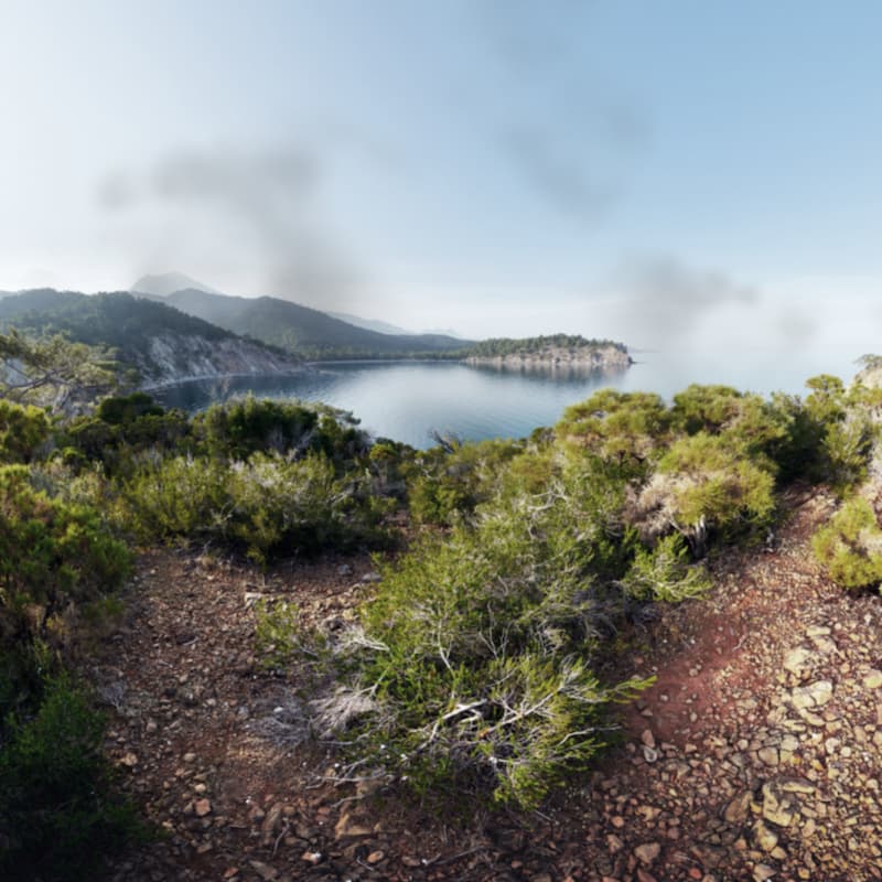 Grauer-Star Symptome